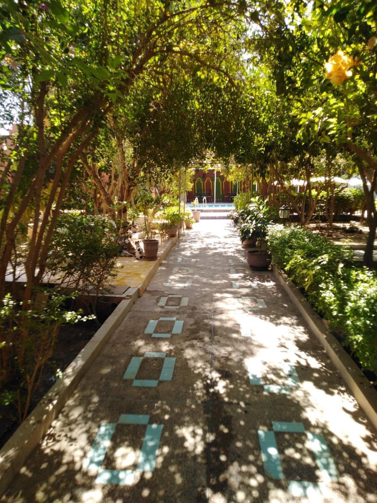 Riad Les Jardins Mabrouk Taroudant Eksteriør billede